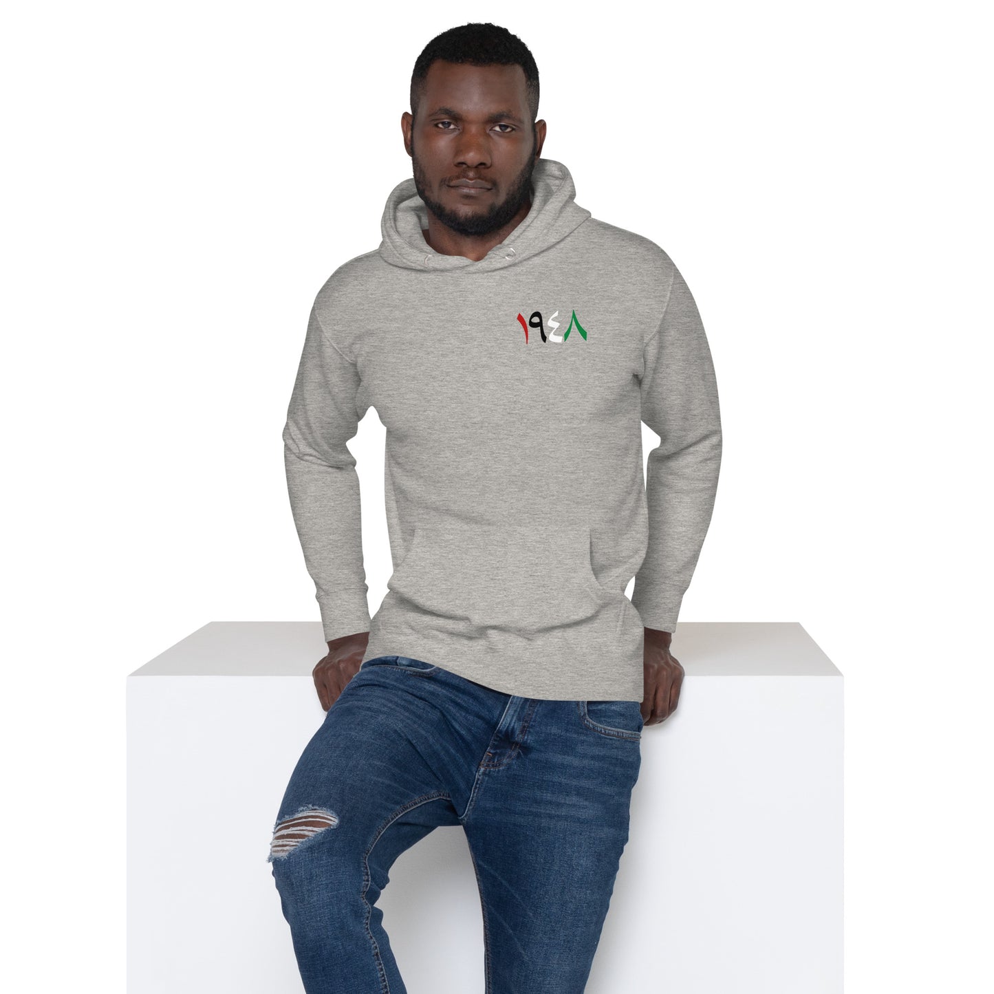 1948 Colorful - Unisex Premium Hoodie